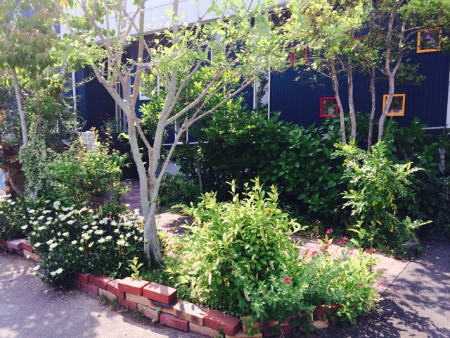 ヘア・アトリエ髪旬植木